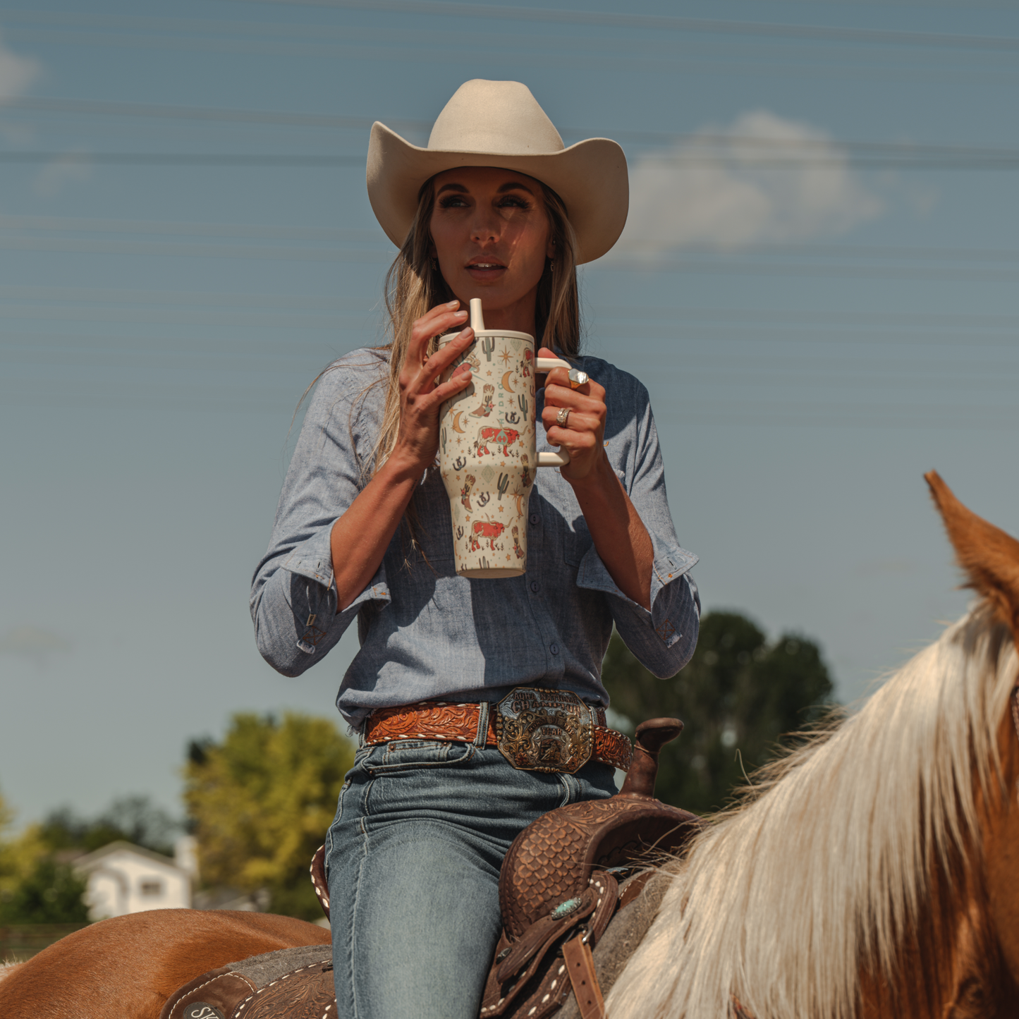 rodeo-n5 TRVL-Rodeo-6WPI.png