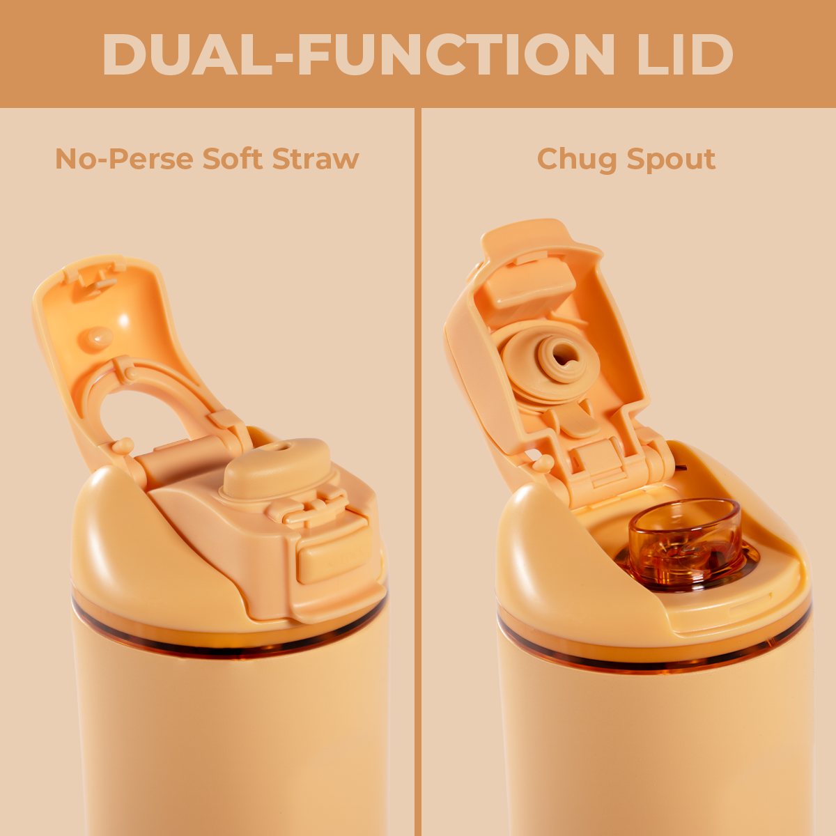 marigold-w3 Ease24-Marigold-WPI-5.png